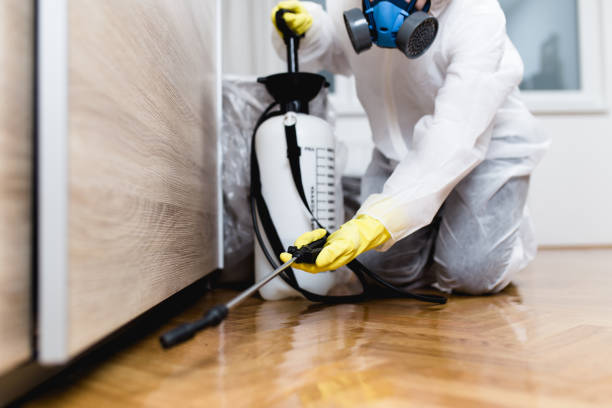 Best Best Pest Control Companies  in South Venice, FL