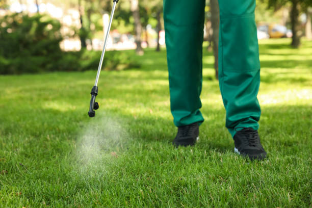 Best Mosquito Control Services  in South Venice, FL
