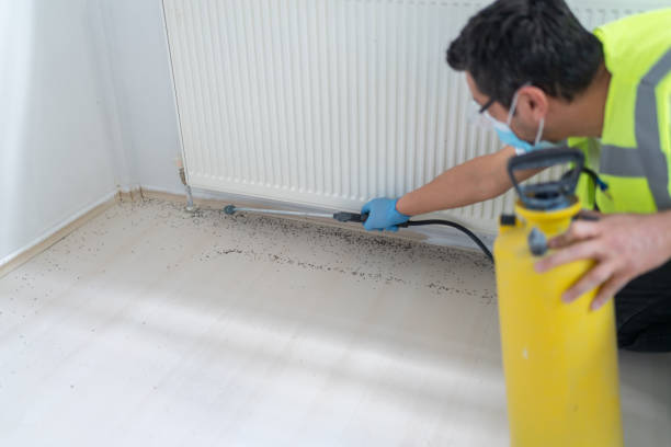 Best Flea Control Services  in South Venice, FL